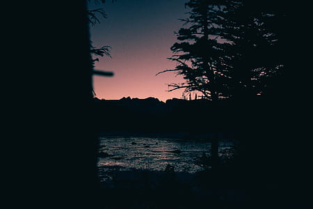 silhouette of trees near body of water thumbnail