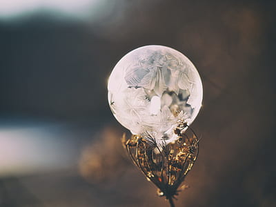 selective focus photography of crystal thumbnail