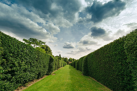 green lawn grass pathway during daytime thumbnail