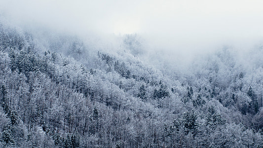 snowy mountain thumbnail