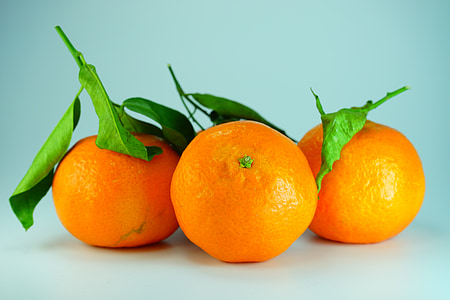 orange fruits with green leaves thumbnail