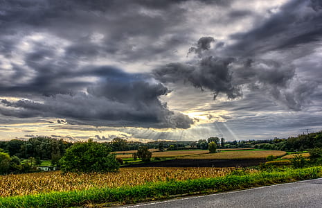landscape photo of a golden time thumbnail