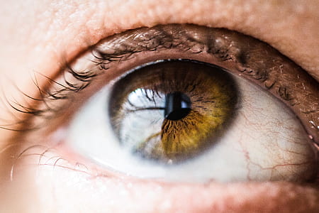 opened human eye thumbnail
