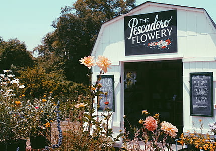 The Pescadero Flowery shop thumbnail