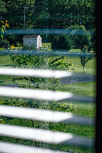 wood, landscape, sunny, garden thumbnail