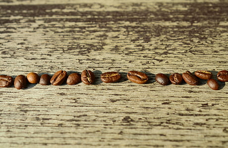 photo of lined coffee bean on gray wooden surface thumbnail