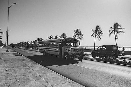 grayscale photo of bus crossing the road along coconut palms thumbnail