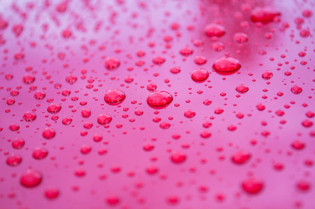 water dew thumbnail