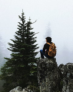 man sitting on grey rock facing on pine tree during daytime thumbnail