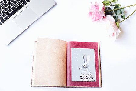 Styled Photo Background with Rabbit thumbnail