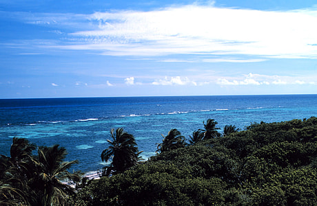 Patch reefs at Mona Island, Puerto Rico thumbnail