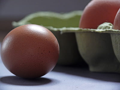 selective focus photography of brown egg thumbnail