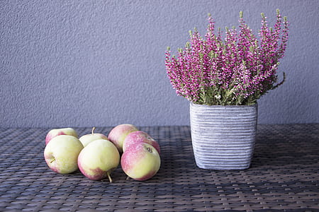 bunch of apples and flowerpot on wicker surface thumbnail