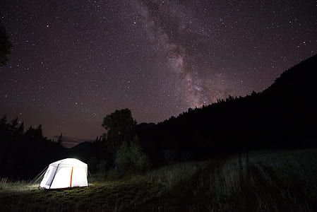 white lighted camping tent on open field near woods during nighttime thumbnail