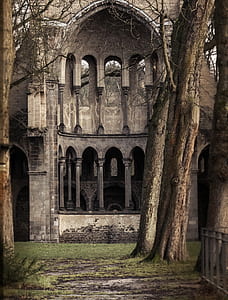 trees in front of concrete building thumbnail