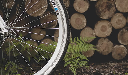 Bicycle Tire Near Fern Plant and Pile of Wood Logs thumbnail