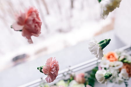 Multi-colored flowers in vases thumbnail