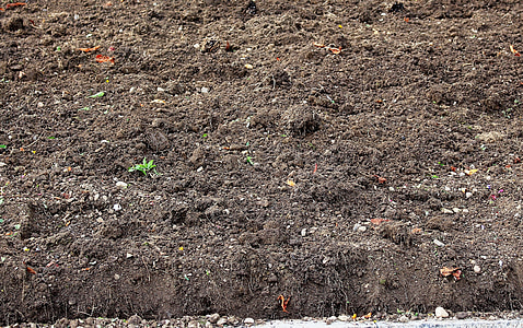 brown soil thumbnail