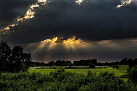 green leaf plants under black clouds at daytime thumbnail