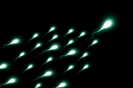 sperms with black background thumbnail
