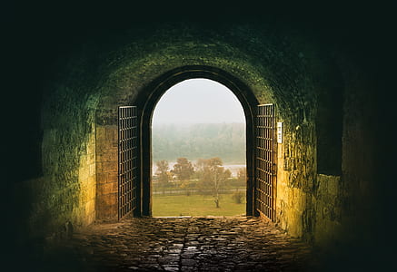 opened gray gate thumbnail