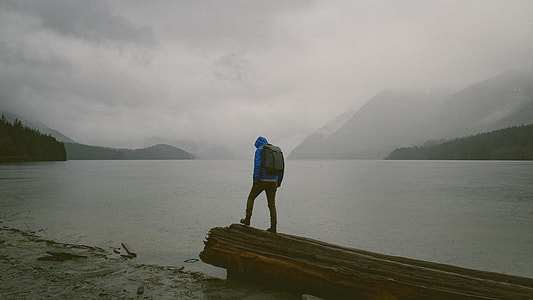 person standing on log beside seashore under white cloudy sky at daytime thumbnail