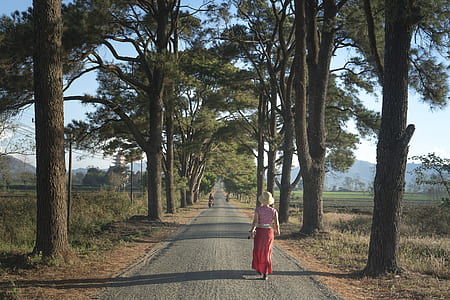 woman walking beside trees thumbnail