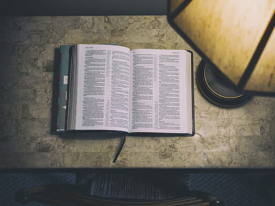 black book beside brown table lamp thumbnail