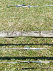 Springs thumbnail