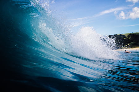 sea wave near trees photo thumbnail