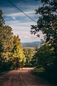 Green Leafed Trees Under Cloudy Sky thumbnail