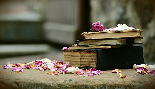 pink petals scattered over pile of 5 books thumbnail