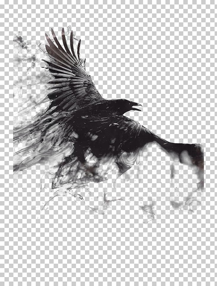 1080p 4K resolution High-definition television Mobile phone , Ink Crow, black bird illustration PNG clipart