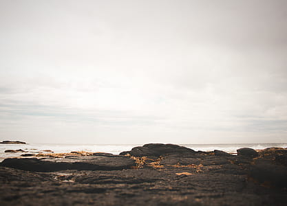 Black Soil and Body of Water thumbnail