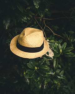brown fashion hat thumbnail