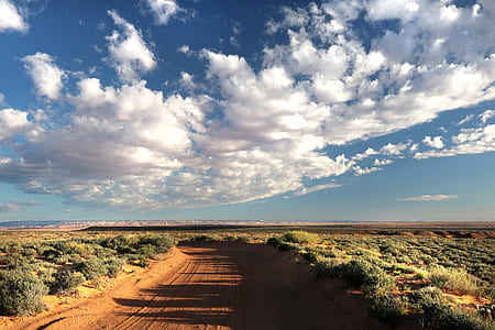 Brown Desert Road Between Green Leafed Plants Under Gray Cloudy Sky during Daytime thumbnail