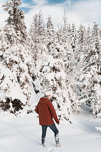 man standing near tree with snow thumbnail