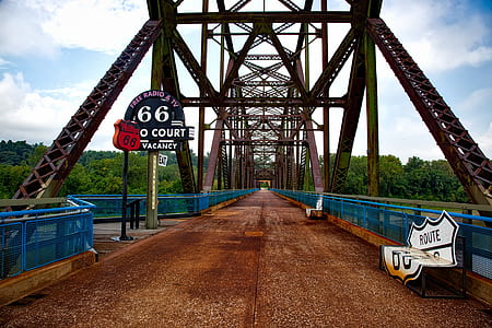 structural photography of grey suspension bridge thumbnail