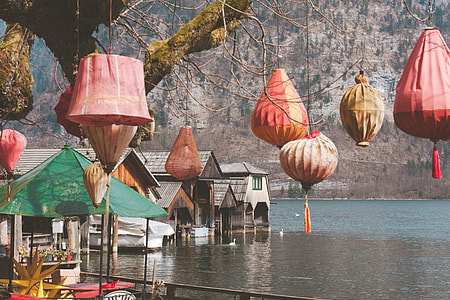 paper lanterns hanging on tree thumbnail