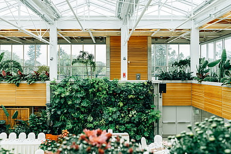 garden in green house thumbnail