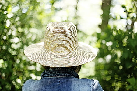 person wearing straw hat facing tree thumbnail