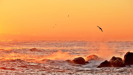 water waves hitting rock thumbnail