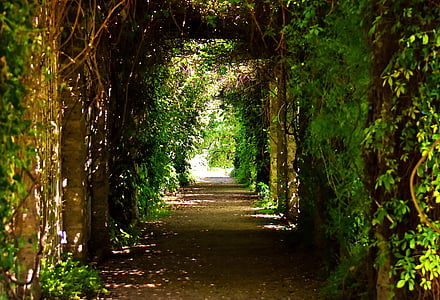 empty tunnel pathway thumbnail