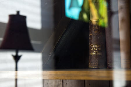 photo of brown Ancient Vedueal book thumbnail