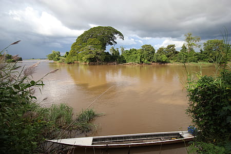 gray wooden boat docked beside river thumbnail