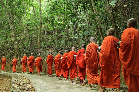 monks walking in procession beside trees thumbnail