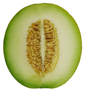 Melon Cross Section, Honeydew thumbnail