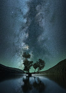 tree place in the middle of river under starry night thumbnail