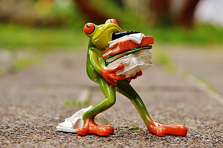 selective focus photography of frog carrying pile of clothes figurine thumbnail