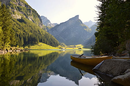 brown boat near trees during daytime thumbnail